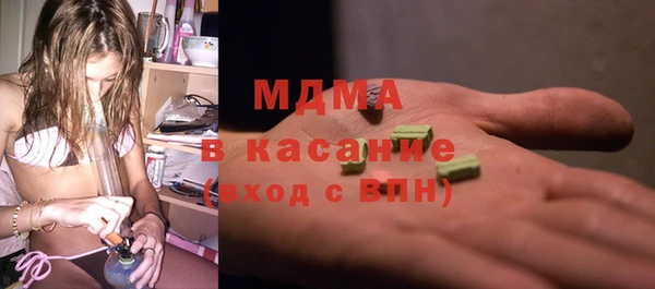 индика Козельск