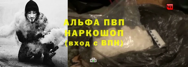 индика Козельск