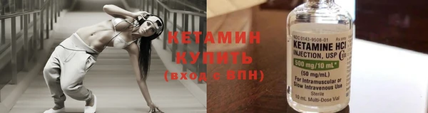 индика Козельск