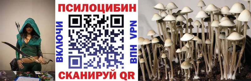 Купить  Донецк  Псилоцибиновые грибы MAGIC MUSHROOMS 